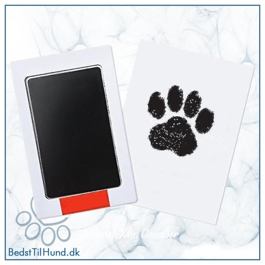 Paw Print Touch Ink Pad Kit