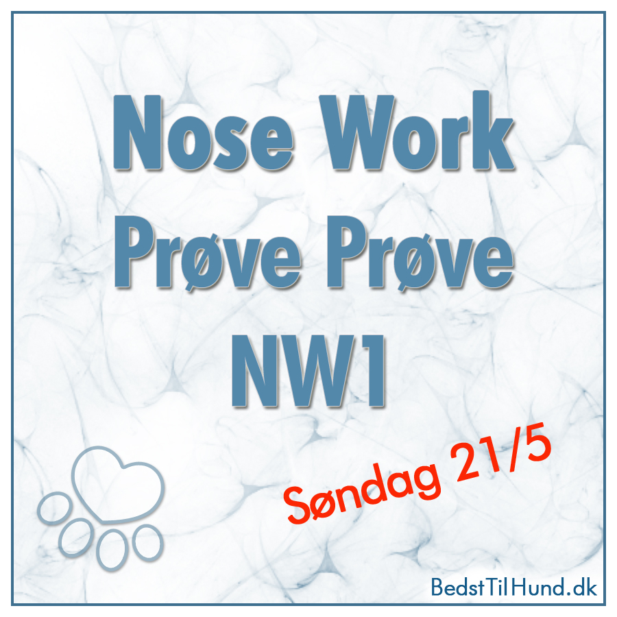 Nose Work Prøve Prøve kl1