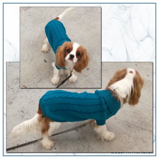 Sweater, Turkis Blå, 45 cm