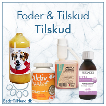 Tilskud