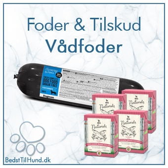 Vådfoder