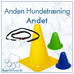 Andet