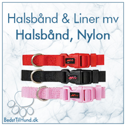 Halsbånd, Nylon