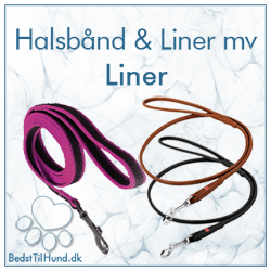 Liner