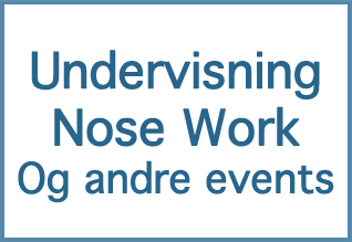 Nose Work og meget meget mere
