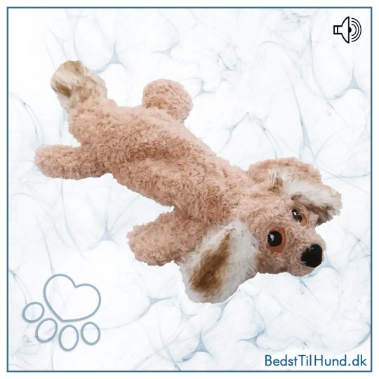 Bandit-hunden