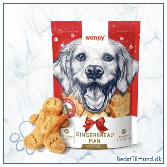 Wanpy Christmas Ginger Bread, 100g