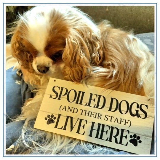 Skilt, med personale