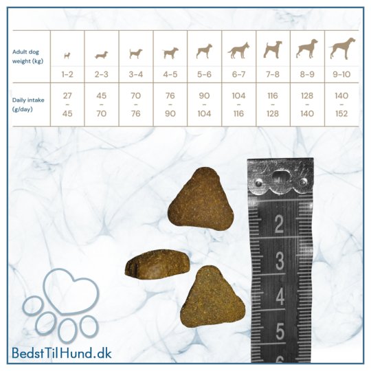 Quattro Super Premium All Breed, Adult, Extra Salmon, 12kg