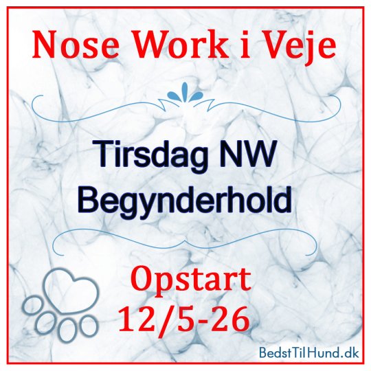Nose Work - Begynderhold
