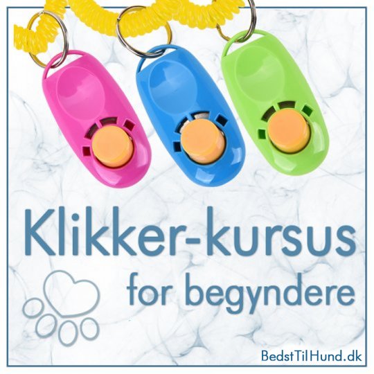 Klikker Kursus